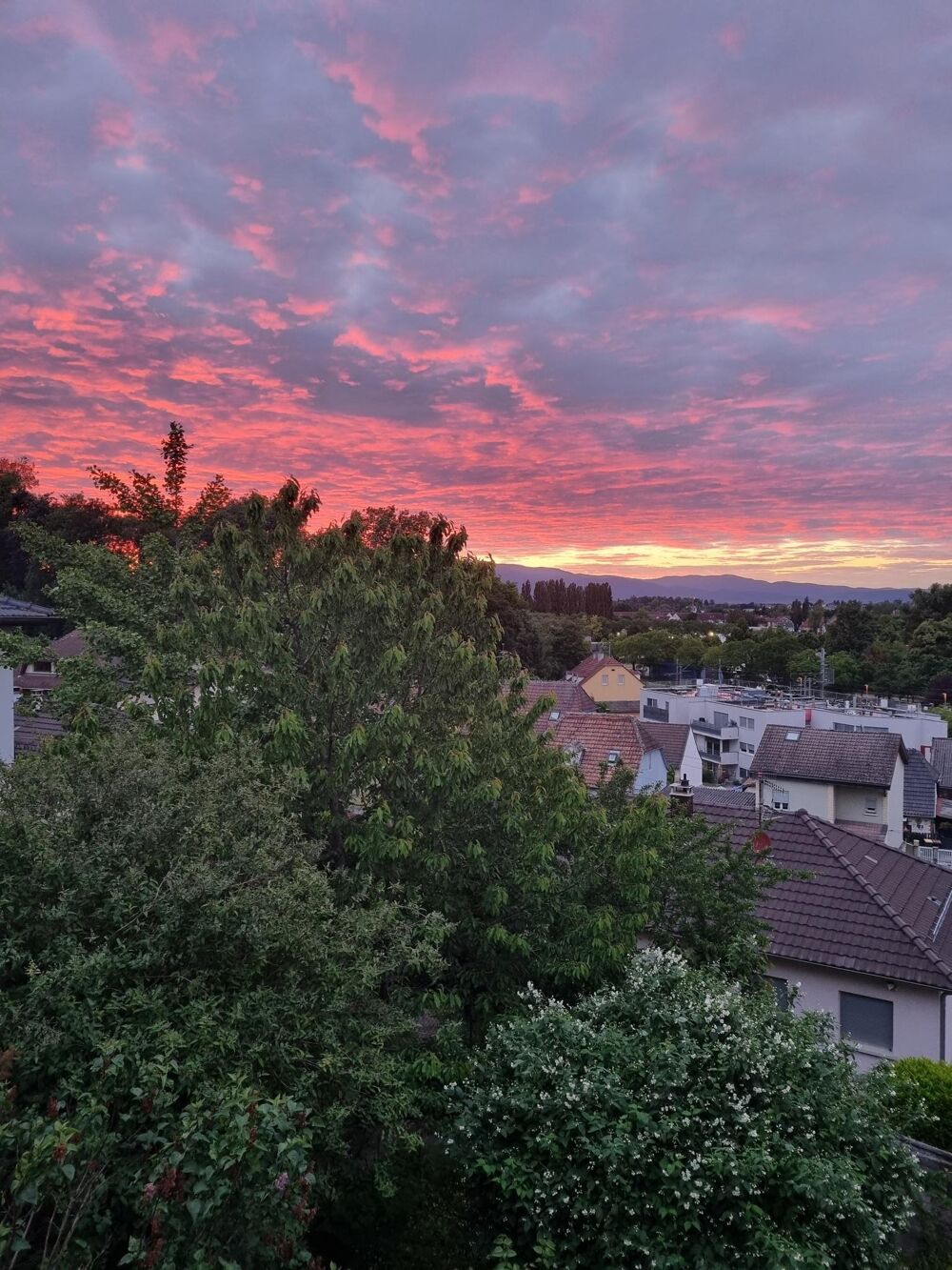Vente Maison Maison 9 pièces Mulhouse
