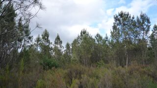  Terrain � vendre 3285 m�