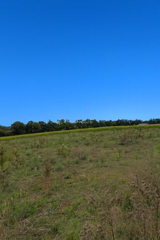  Terrain à vendre 