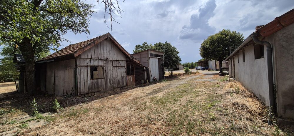 Vente Maison Corps de ferme 4 pièces Saint-christophe-en-boucherie