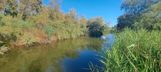  Maison � vendre 12 pi�ces 270 m�