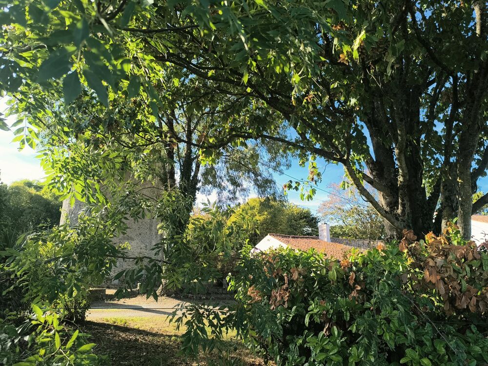 Vente Maison Maison avec dépendance Saint-hippolyte