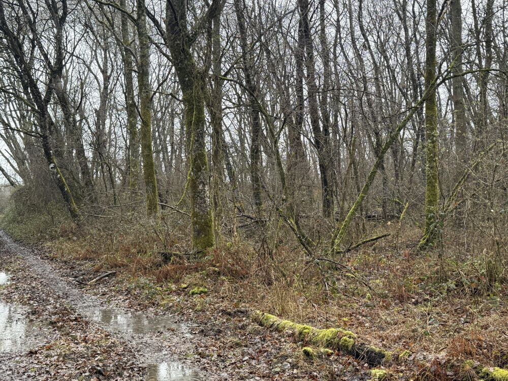 Longère 12 pièces