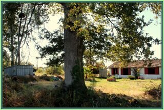  Maison � vendre 3 pi�ces 72 m�