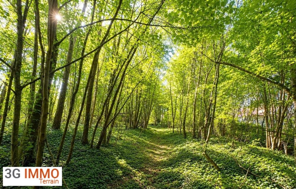 Vente Terrain Terrain constructible Méry-sur-oise