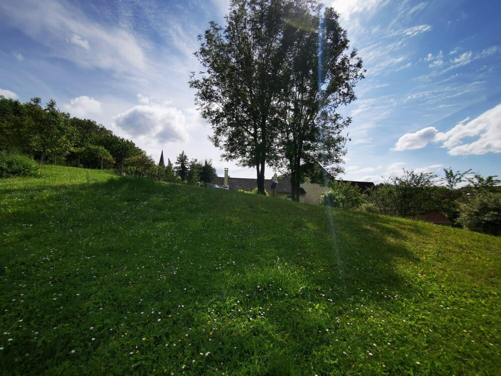 Vente Terrain Terrain Venizy
