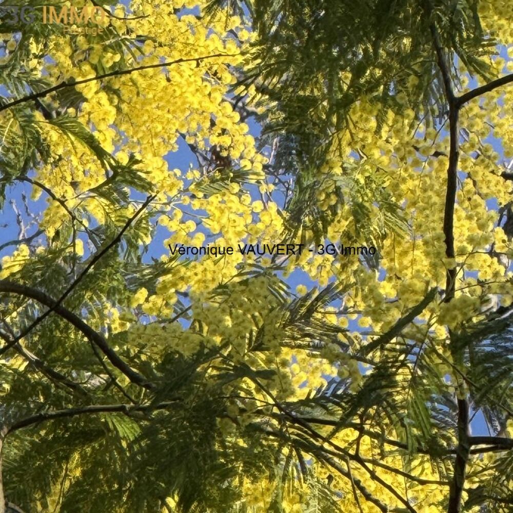 � vendre  Maison Ar�s (33740)