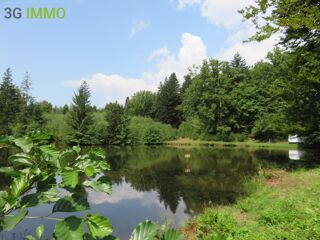  Terrain � vendre 4560 m�