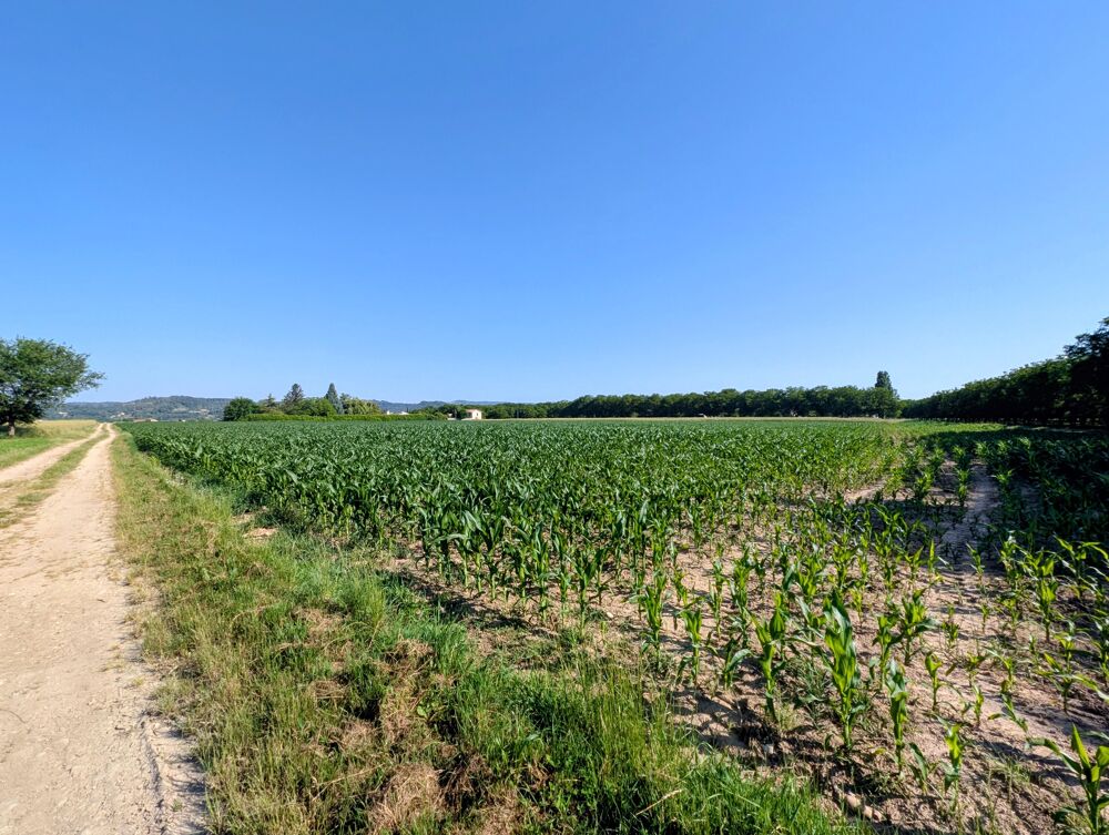 Vente Terrain Terrain agricole Châtillon-saint-jean