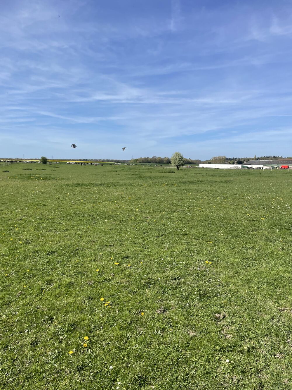 Vente Terrain Terrain constructible Vernon