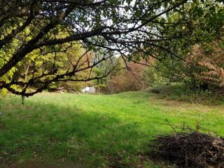  Terrain � vendre 5499 m�