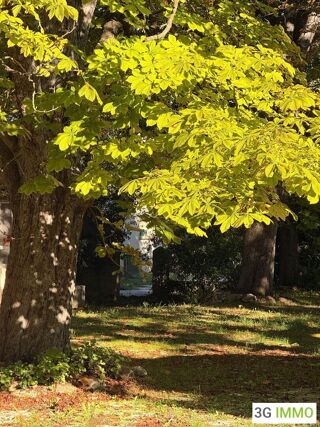  Propri�t�/ch�teau � vendre 15 + pi�ces 480 m�