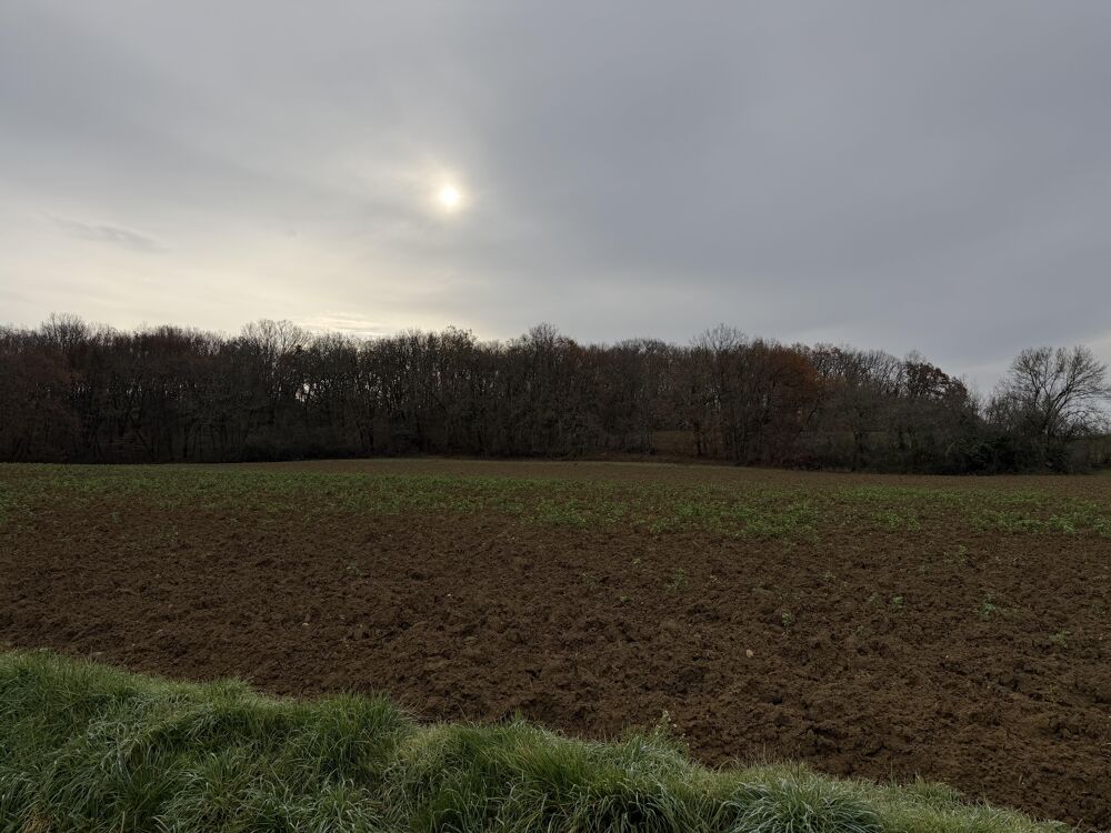 Vente Terrain Terrain Bon-encontre