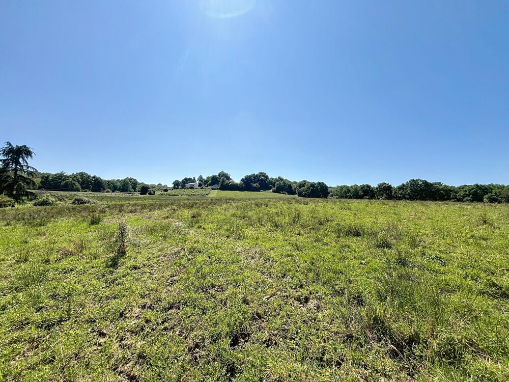 Vente Terrain Terrain constructible Lahourcade