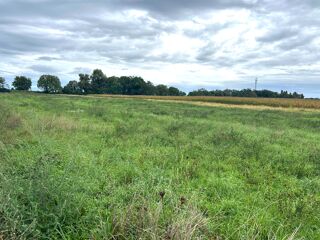  Terrain � vendre 446 m�