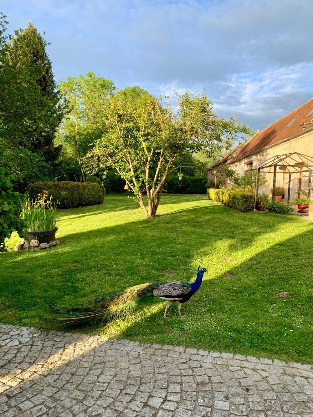 � vendre  Maison Compi�gne (60200)