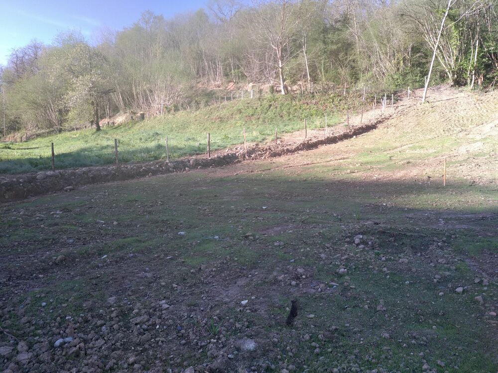 Vente Terrain Terrain Narcastet