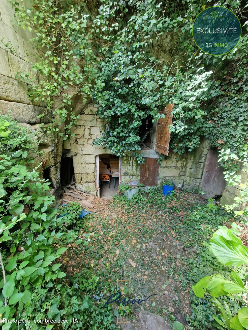 Vente Maison Maison Cizay-la-madeleine