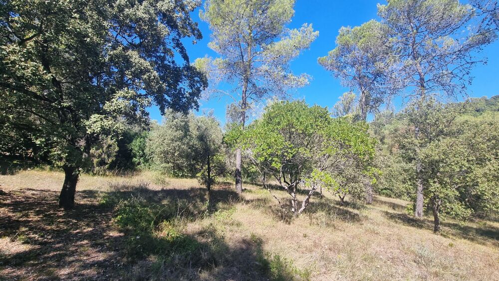 Vente Terrain Terrain constructible Saint-mathieu-de-tréviers