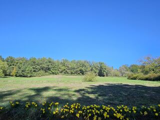  Maison � vendre 9 pi�ces 250 m�