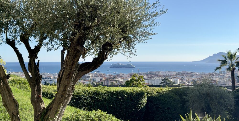 à vendre  Appartement Cannes (06400)