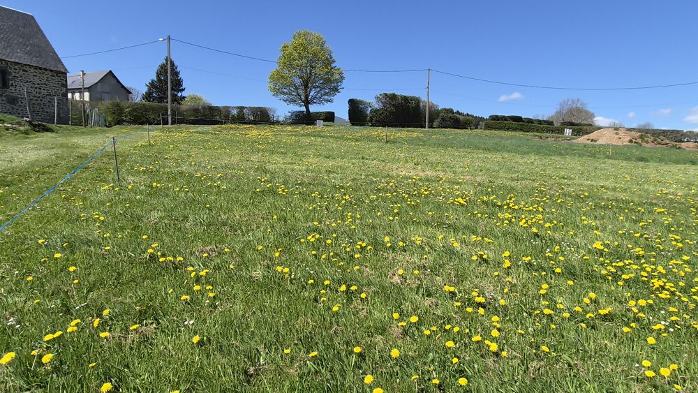 Vente Terrain Terrain constructible Rochefort-montagne