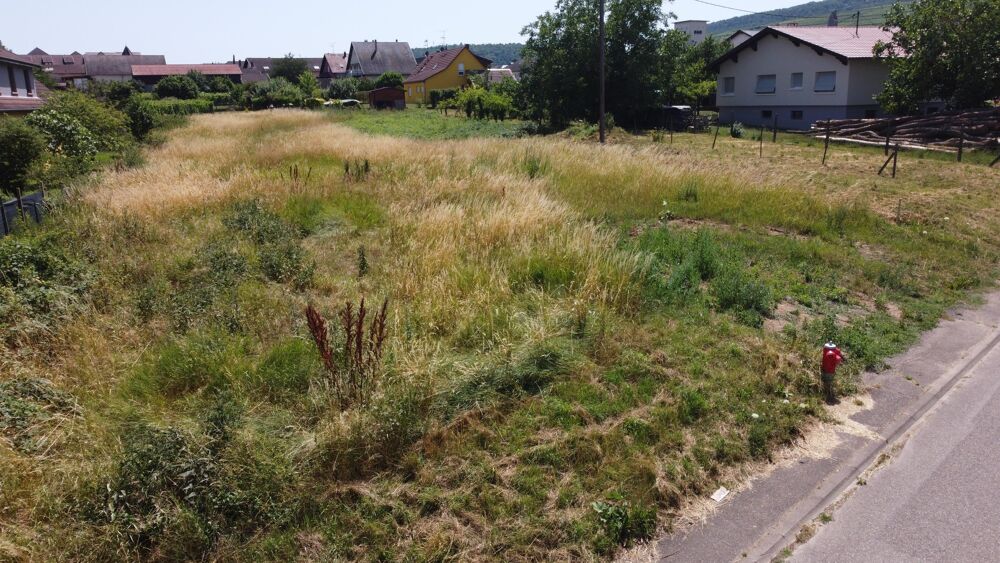 Vente Terrain Terrain constructible Pfaffenheim