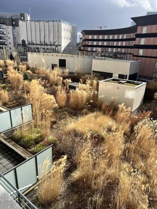  Appartement � louer 3 pi�ces 64 m�