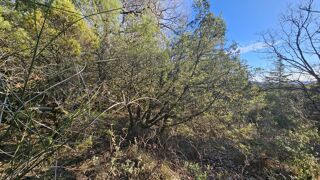  Terrain � vendre 24790 m�