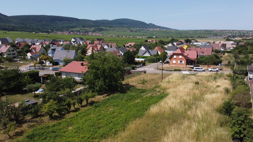 Vente Terrain Terrain constructible Pfaffenheim