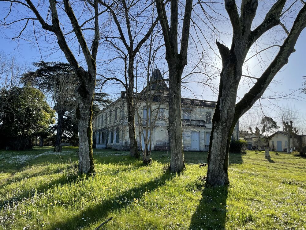 Vente Propriété/Château Château 11 pièces Arveyres