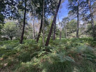  Terrain � vendre 141093 m�