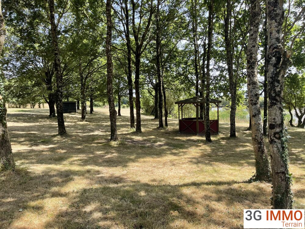 Vente Terrain Terrain Les pineaux