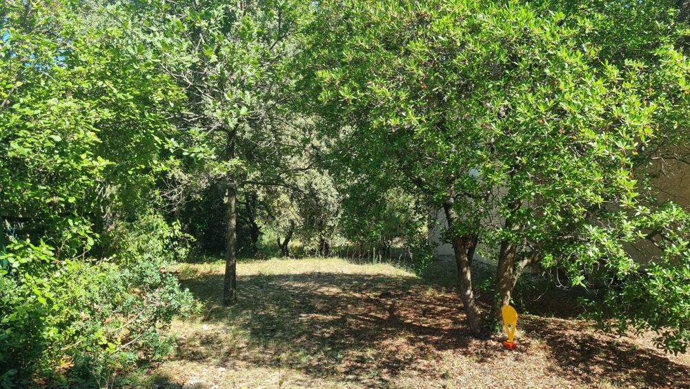 Vente Terrain Terrain constructible Saint-mathieu-de-tréviers