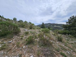  Terrain à vendre 36004 m²
