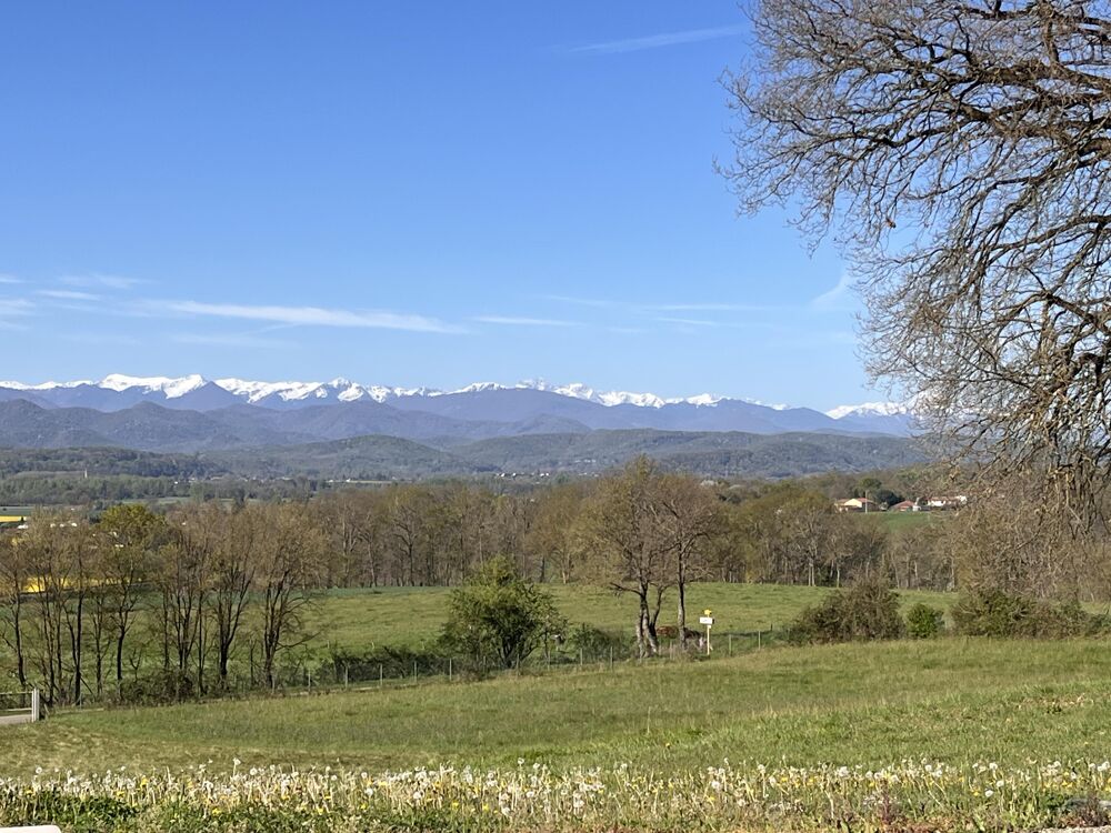Maison et grand terrain