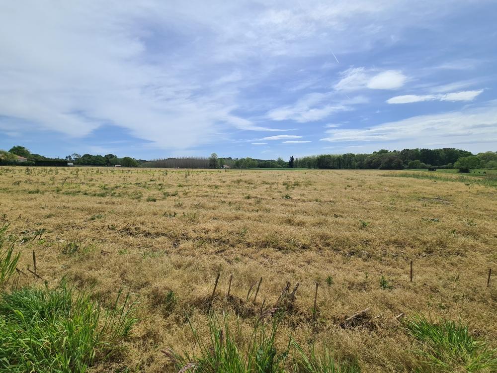Vente Terrain Terrain constructible Sainte-marie-de-gosse