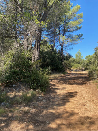  Terrain  vendre 20618 m Salernes