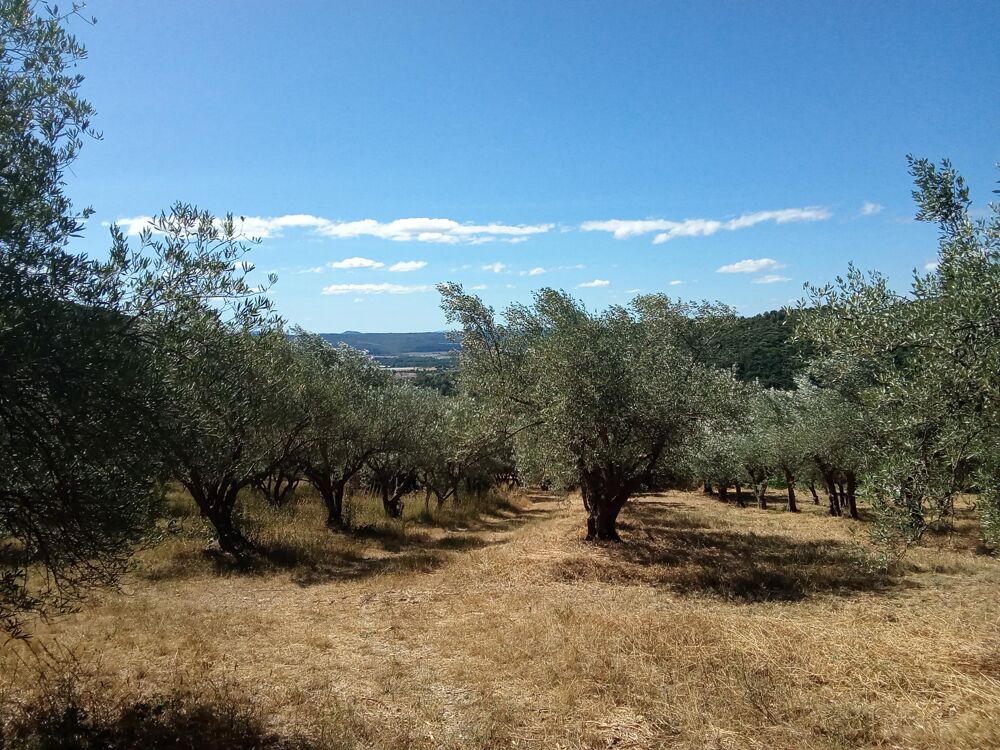 à vendre  Maison Manosque (04100)