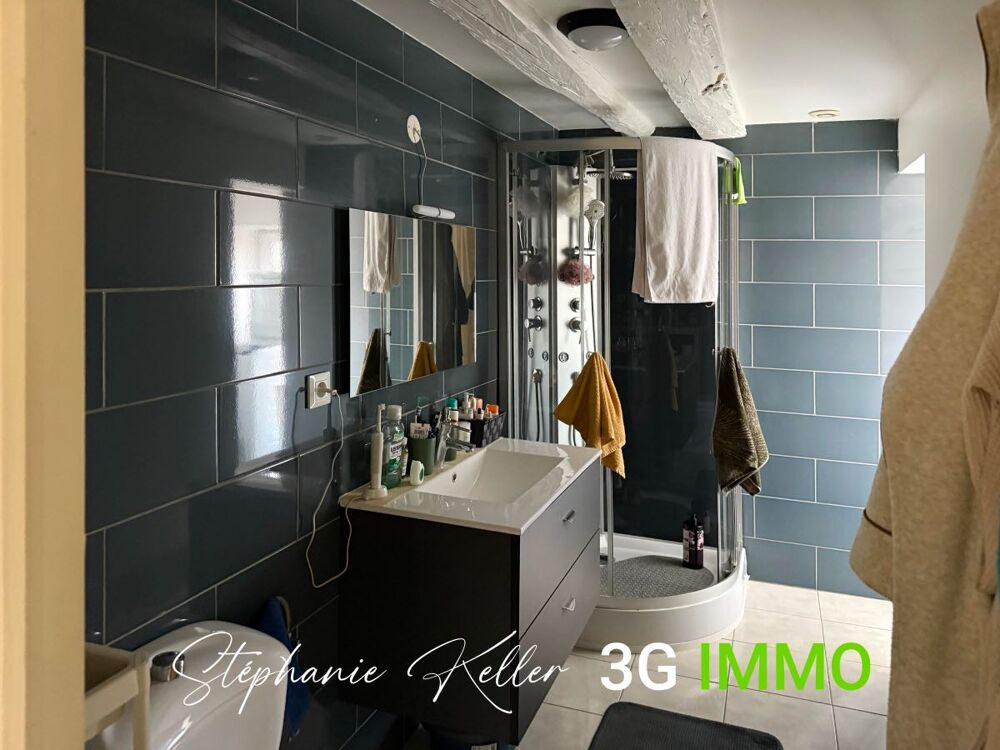 Vente Immeuble Immeuble 7 pices Slestat