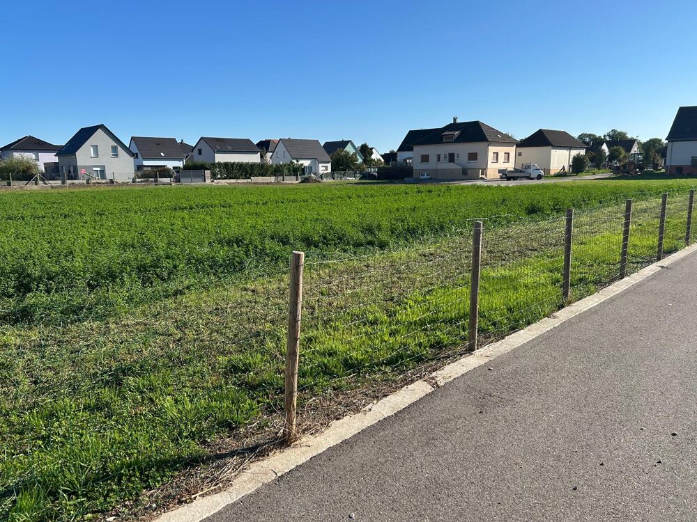 Vente Terrain Terrain constructible Biltzheim
