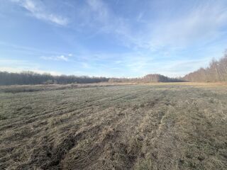  Terrain � vendre 12 pi�ces 300 m�