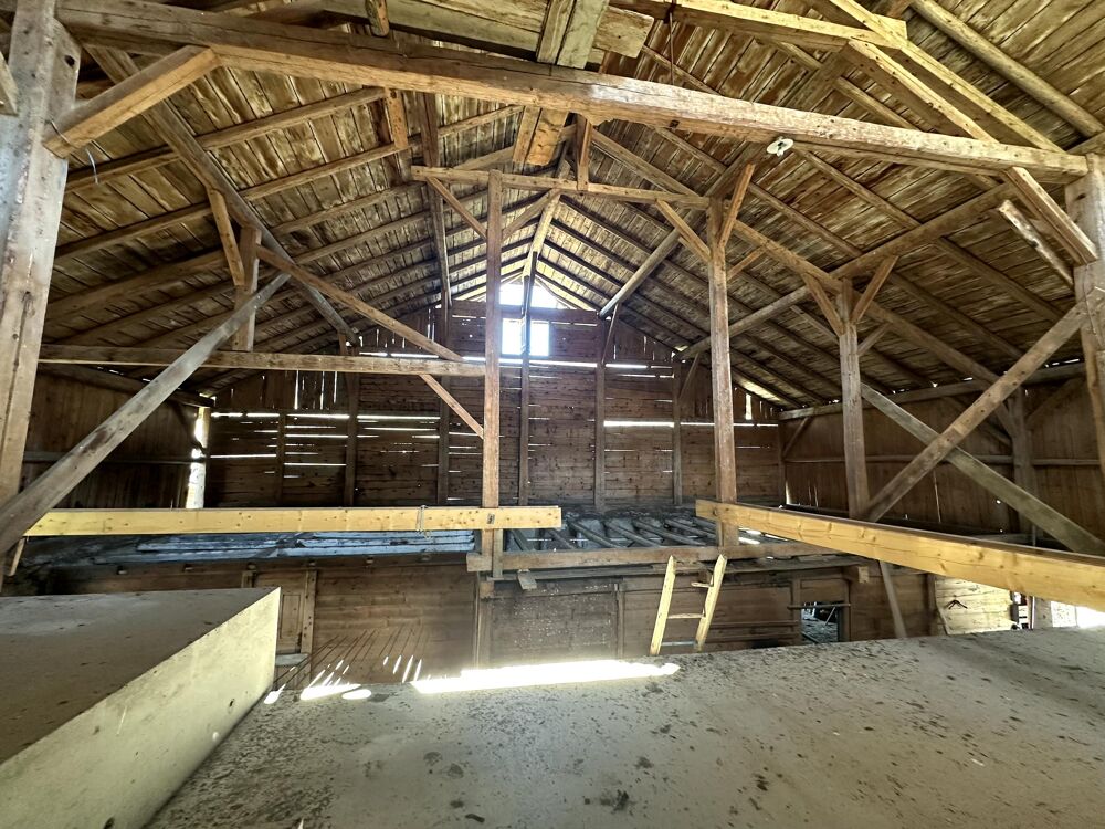 � vendre  Propri�t�/ch�teau Praz-sur-Arly (74120)