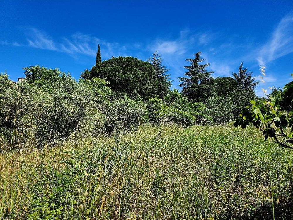 Vente Terrain Terrain constructible Cassagnoles