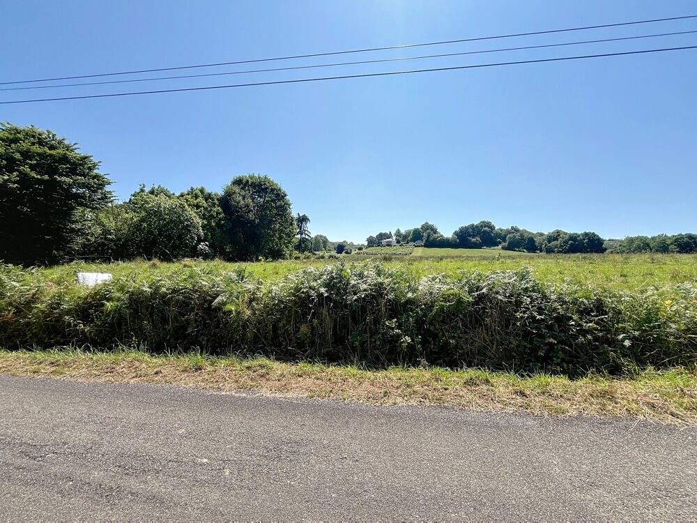 Vente Terrain Terrain constructible Lahourcade