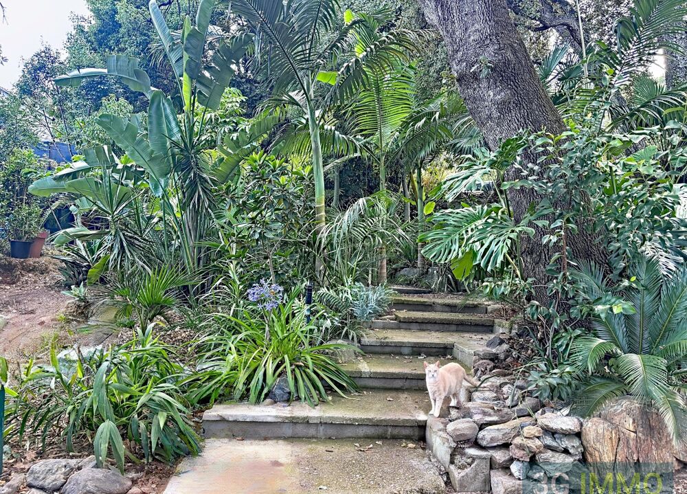 Vente Maison Maison Santa-lucia-di-moriani