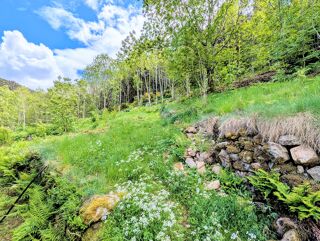  Terrain à vendre 143698 m²