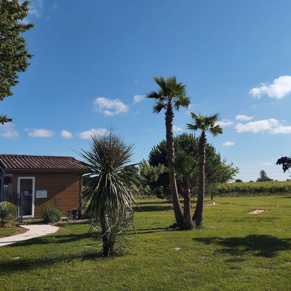 à vendre  Propriété/château Périssac (33240)