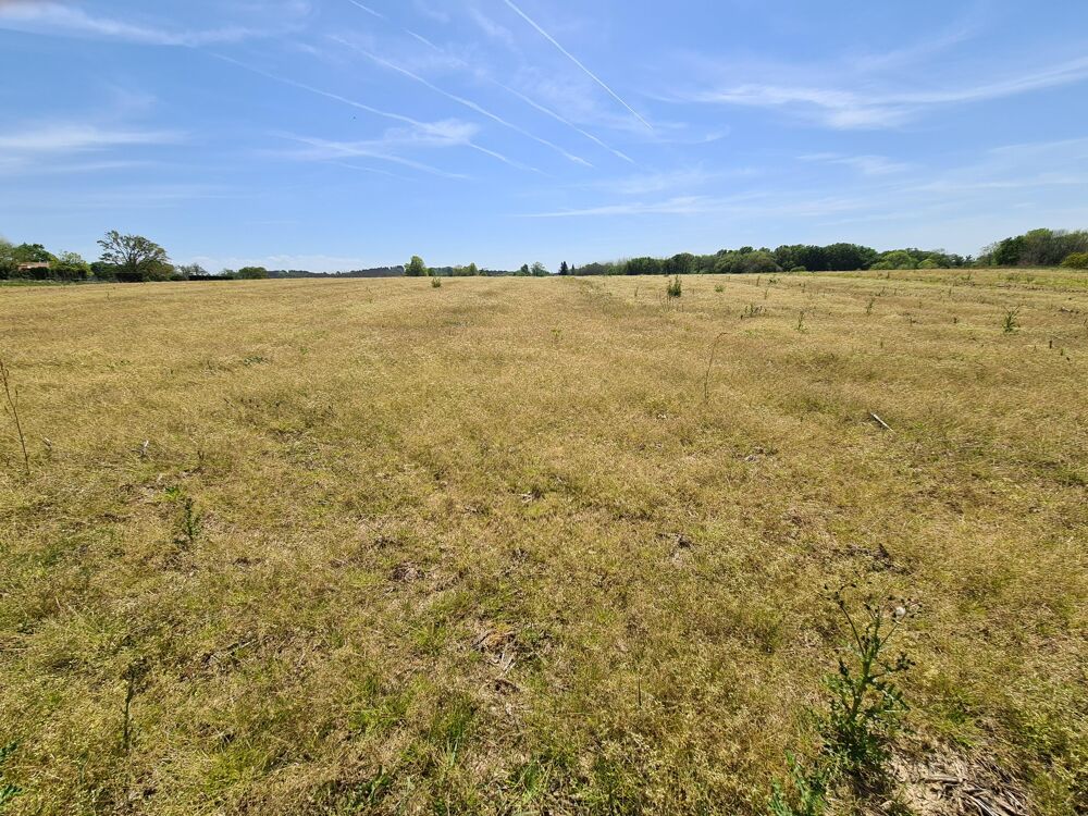 Vente Terrain Terrain constructible Sainte-marie-de-gosse