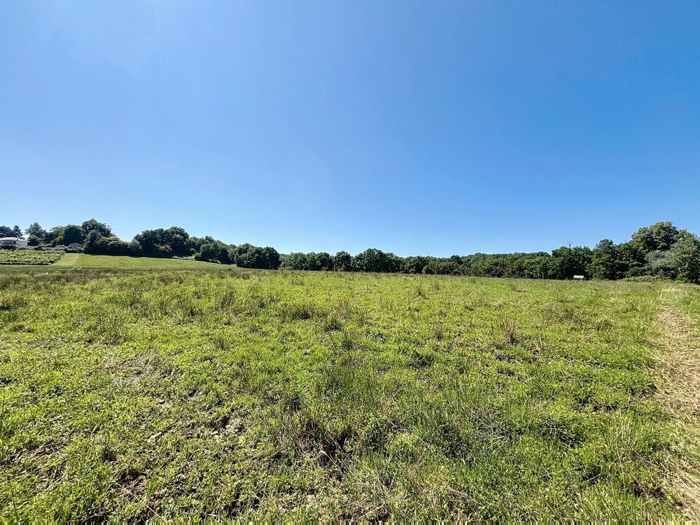 Vente Terrain Terrain constructible Lahourcade